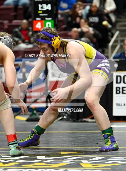 Thumbnail 1 in PIAA Girls Wrestling Championships photogallery.
