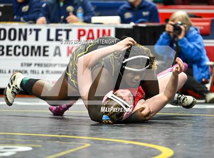 Thumbnail 2 in PIAA Girls Wrestling Championships photogallery.