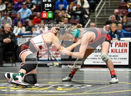 Thumbnail 2 in PIAA Girls Wrestling Championships photogallery.