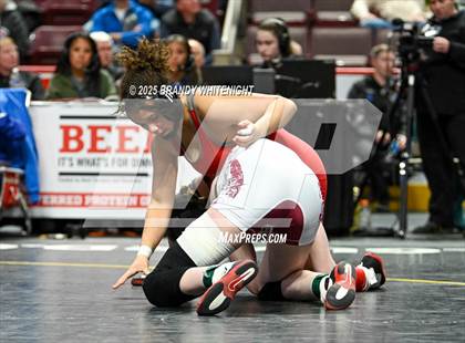 Thumbnail 2 in PIAA Girls Wrestling Championships photogallery.