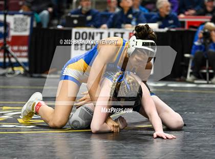 Thumbnail 1 in PIAA Girls Wrestling Championships photogallery.