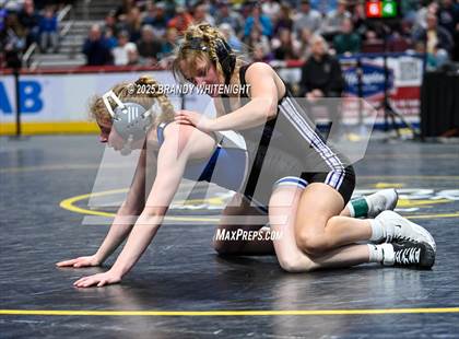 Thumbnail 3 in PIAA Girls Wrestling Championships photogallery.