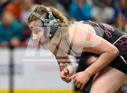 Thumbnail 3 in PIAA Girls Wrestling Championships photogallery.