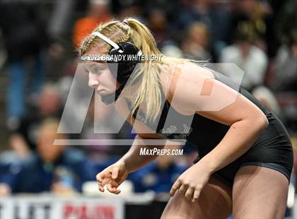 Thumbnail 3 in PIAA Girls Wrestling Championships photogallery.