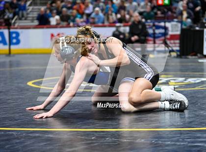 Thumbnail 2 in PIAA Girls Wrestling Championships photogallery.