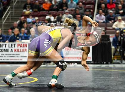 Thumbnail 1 in PIAA Girls Wrestling Championships photogallery.