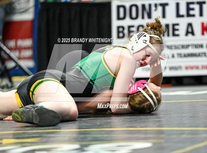 Thumbnail 2 in PIAA Girls Wrestling Championships photogallery.