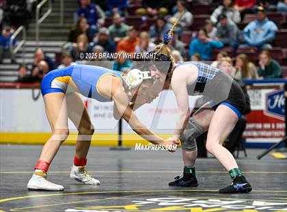 Thumbnail 3 in PIAA Girls Wrestling Championships photogallery.
