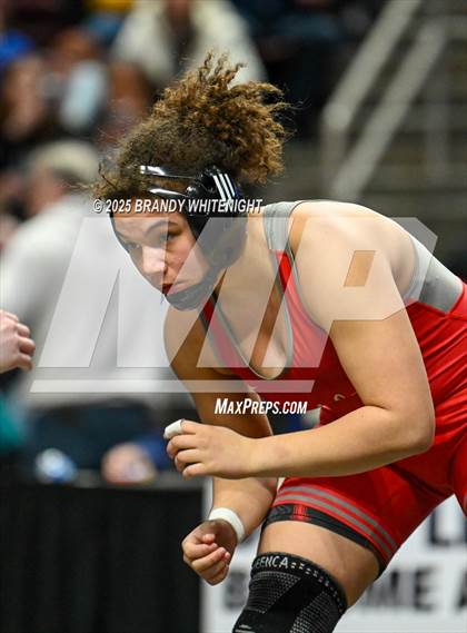 Thumbnail 1 in PIAA Girls Wrestling Championships photogallery.