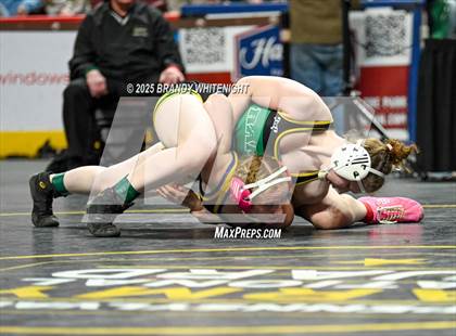Thumbnail 3 in PIAA Girls Wrestling Championships photogallery.