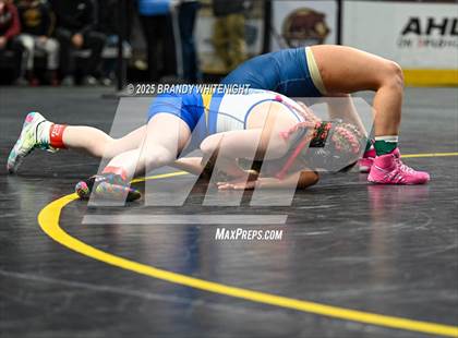 Thumbnail 3 in PIAA Girls Wrestling Championships photogallery.