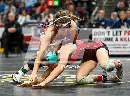 Thumbnail 1 in PIAA Girls Wrestling Championships photogallery.