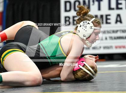 Thumbnail 1 in PIAA Girls Wrestling Championships photogallery.