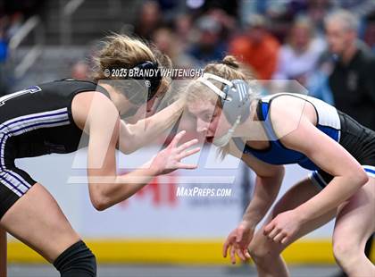 Thumbnail 3 in PIAA Girls Wrestling Championships photogallery.