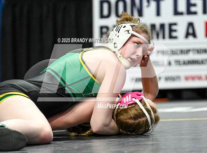 Thumbnail 3 in PIAA Girls Wrestling Championships photogallery.