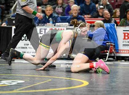 Thumbnail 1 in PIAA Girls Wrestling Championships photogallery.