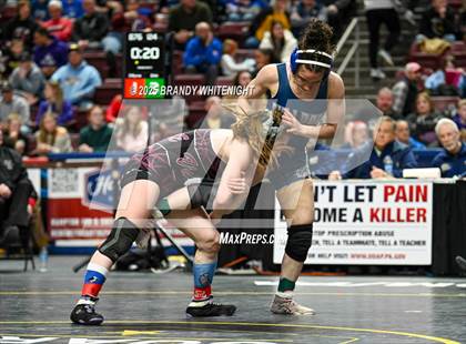 Thumbnail 3 in PIAA Girls Wrestling Championships photogallery.