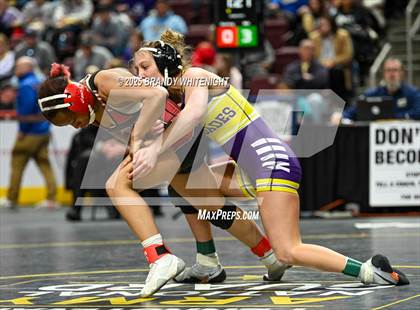 Thumbnail 1 in PIAA Girls Wrestling Championships photogallery.