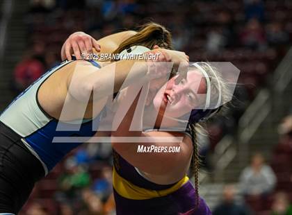 Thumbnail 3 in PIAA Girls Wrestling Championships photogallery.