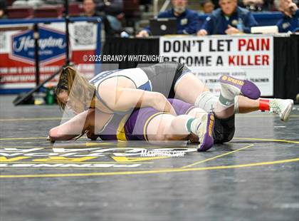Thumbnail 2 in PIAA Girls Wrestling Championships photogallery.