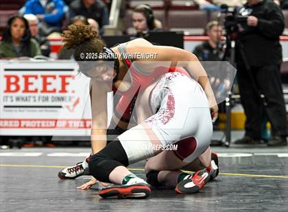 Thumbnail 3 in PIAA Girls Wrestling Championships photogallery.