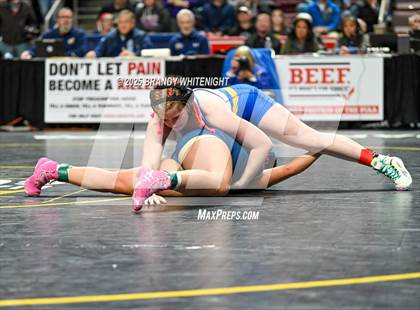 Thumbnail 1 in PIAA Girls Wrestling Championships photogallery.