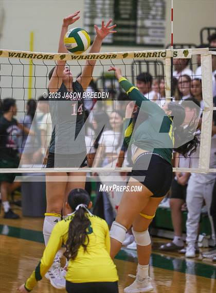 Thumbnail 2 in Pioneer @ Rowe photogallery.