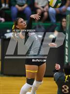 Photo from the gallery "Pioneer @ Rowe"