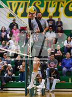 Photo from the gallery "Pioneer @ Rowe"