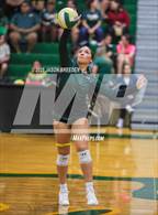 Photo from the gallery "Pioneer @ Rowe"