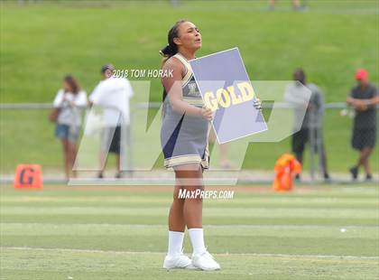 Thumbnail 1 in DePaul Catholic @ Pope John XXIII photogallery.