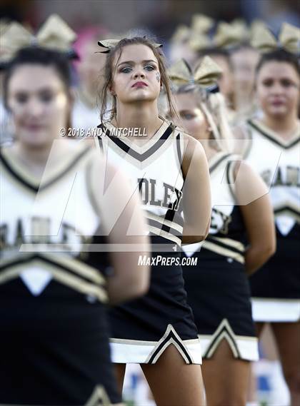 Thumbnail 2 in Bradley Central @ Cleveland photogallery.