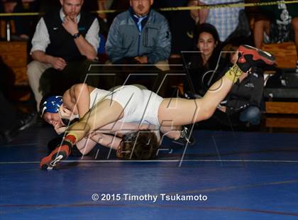 Thumbnail 3 in NIAA Northern Nevada D1 Regional Wrestling Championships (Day 2) photogallery.