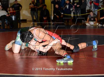 Thumbnail 2 in NIAA Northern Nevada D1 Regional Wrestling Championships (Day 2) photogallery.