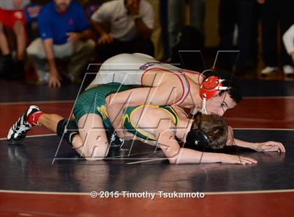 Thumbnail 2 in NIAA Northern Nevada D1 Regional Wrestling Championships (Day 2) photogallery.