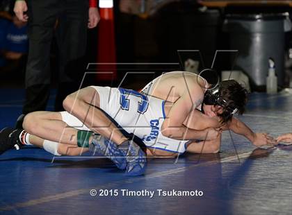 Thumbnail 3 in NIAA Northern Nevada D1 Regional Wrestling Championships (Day 2) photogallery.