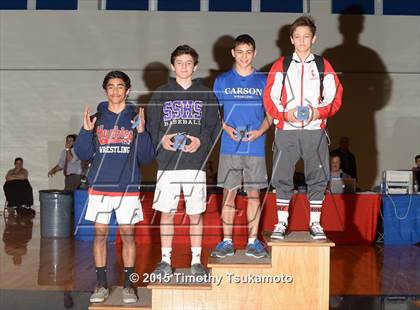 Thumbnail 1 in NIAA Northern Nevada D1 Regional Wrestling Championships (Day 2) photogallery.