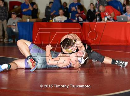 Thumbnail 3 in NIAA Northern Nevada D1 Regional Wrestling Championships (Day 2) photogallery.