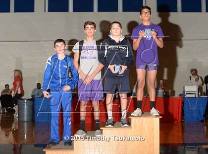 Thumbnail 3 in NIAA Northern Nevada D1 Regional Wrestling Championships (Day 2) photogallery.