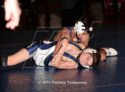 Thumbnail 1 in NIAA Northern Nevada D1 Regional Wrestling Championships (Day 2) photogallery.