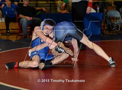 Thumbnail 2 in NIAA Northern Nevada D1 Regional Wrestling Championships (Day 2) photogallery.