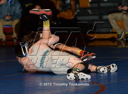 Thumbnail 1 in NIAA Northern Nevada D1 Regional Wrestling Championships (Day 2) photogallery.