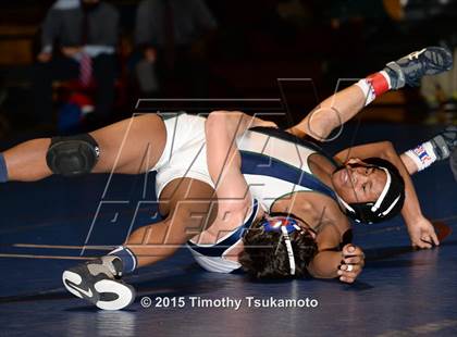 Thumbnail 3 in NIAA Northern Nevada D1 Regional Wrestling Championships (Day 2) photogallery.