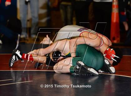 Thumbnail 2 in NIAA Northern Nevada D1 Regional Wrestling Championships (Day 2) photogallery.