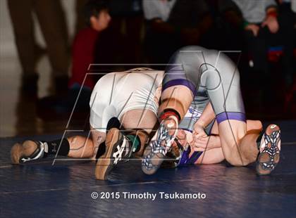 Thumbnail 1 in NIAA Northern Nevada D1 Regional Wrestling Championships (Day 2) photogallery.