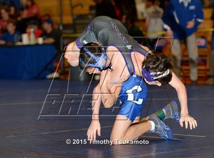 Thumbnail 3 in NIAA Northern Nevada D1 Regional Wrestling Championships (Day 2) photogallery.