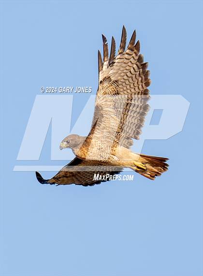 Thumbnail 2 in Bishop Manogue @ Rocklin photogallery.