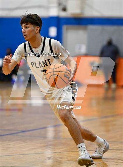 Thumbnail 3 in Plant vs Berkeley Prep. (Sunbash Tournament) photogallery.