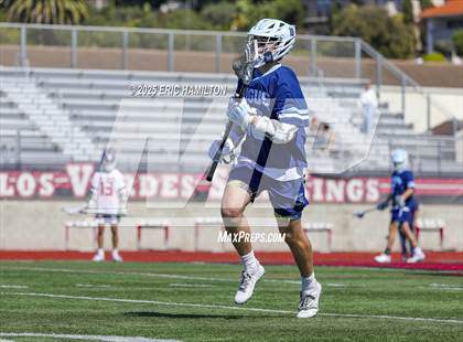 Thumbnail 2 in Saugus @ Palos Verdes photogallery.