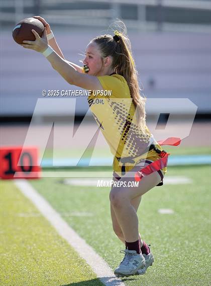 Thumbnail 1 in Arlington @ Ramona photogallery.